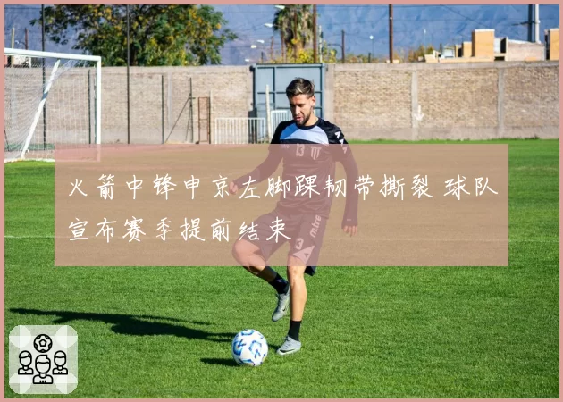 火箭中锋申京左脚踝韧带撕裂 球队宣布赛季提前结束