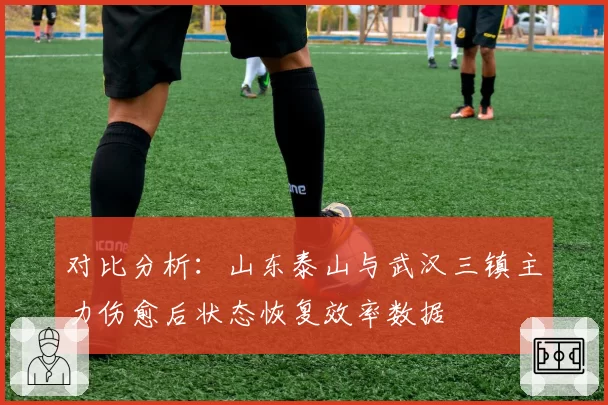 对比分析:山东泰山与武汉三镇主力伤愈后状态恢复效率数据
