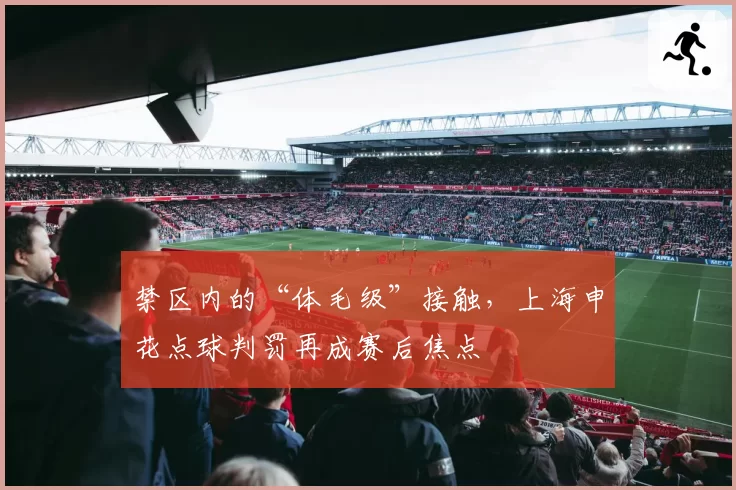 禁区内的“体毛级”接触，上海申花点球判罚再成赛后焦点